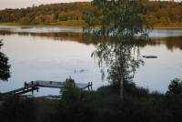 Campers are swimming in the lake in the evening sun with the beautiful view of the large lake and the surrounding forest